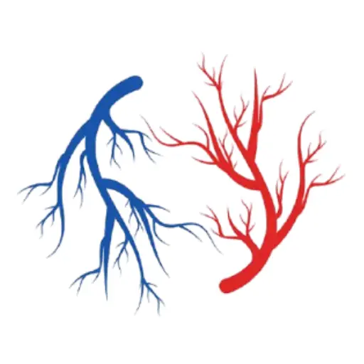 Prime Vascular Care - Favicon